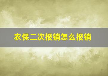 农保二次报销怎么报销