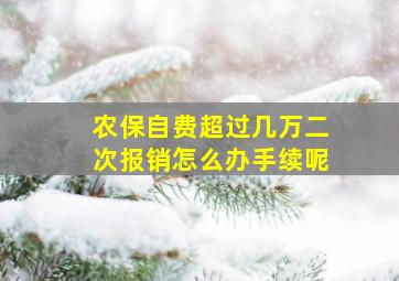 农保自费超过几万二次报销怎么办手续呢