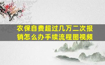 农保自费超过几万二次报销怎么办手续流程图视频