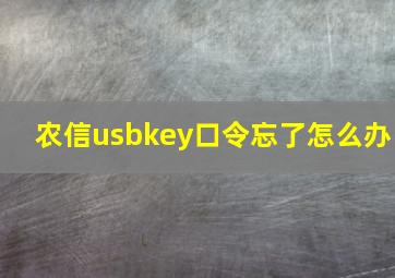 农信usbkey口令忘了怎么办