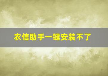 农信助手一键安装不了