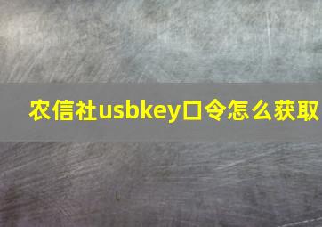 农信社usbkey口令怎么获取