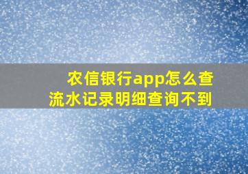 农信银行app怎么查流水记录明细查询不到