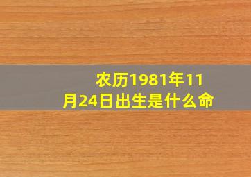 农历1981年11月24日出生是什么命