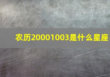 农历20001003是什么星座