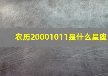 农历20001011是什么星座