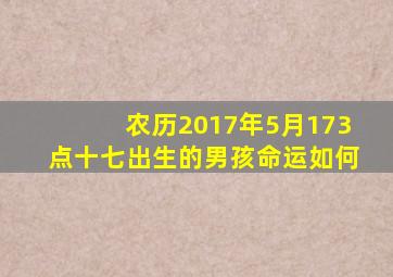 农历2017年5月173点十七出生的男孩命运如何