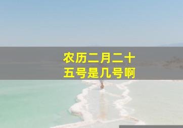 农历二月二十五号是几号啊