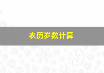 农历岁数计算