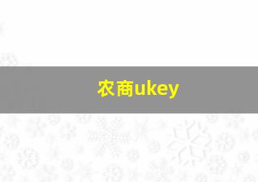 农商ukey