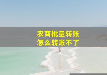 农商批量转账怎么转账不了