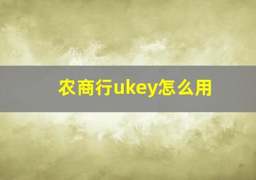 农商行ukey怎么用