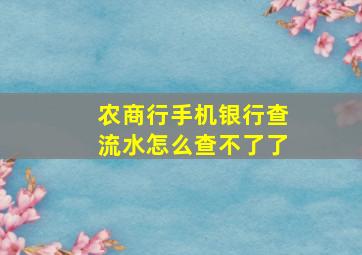 农商行手机银行查流水怎么查不了了