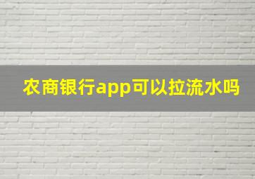 农商银行app可以拉流水吗