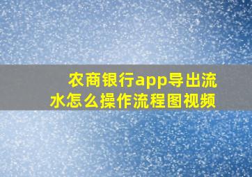 农商银行app导出流水怎么操作流程图视频