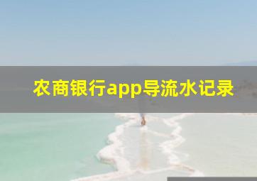 农商银行app导流水记录