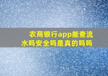 农商银行app能查流水吗安全吗是真的吗吗