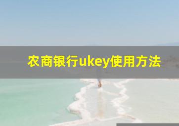 农商银行ukey使用方法