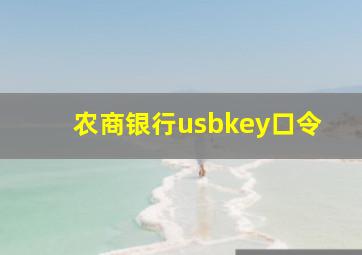 农商银行usbkey口令