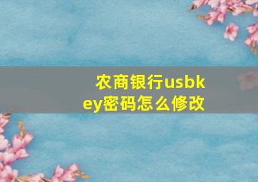 农商银行usbkey密码怎么修改