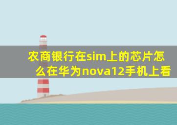 农商银行在sim上的芯片怎么在华为nova12手机上看