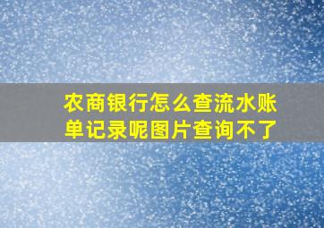 农商银行怎么查流水账单记录呢图片查询不了