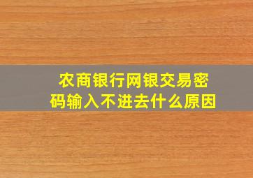 农商银行网银交易密码输入不进去什么原因