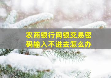 农商银行网银交易密码输入不进去怎么办