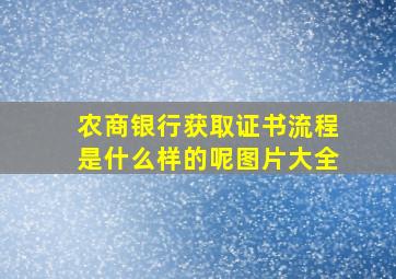 农商银行获取证书流程是什么样的呢图片大全