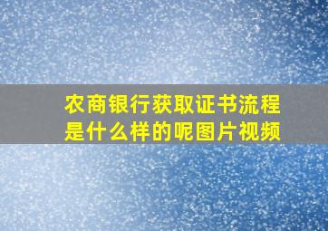 农商银行获取证书流程是什么样的呢图片视频