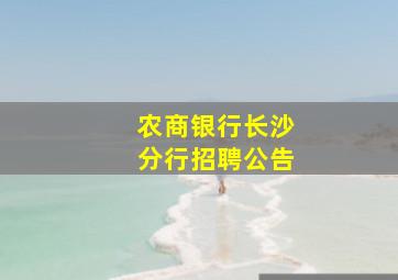 农商银行长沙分行招聘公告