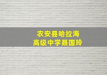 农安县哈拉海高级中学聂国玲