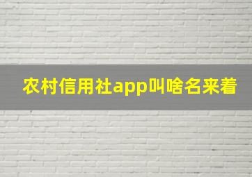 农村信用社app叫啥名来着