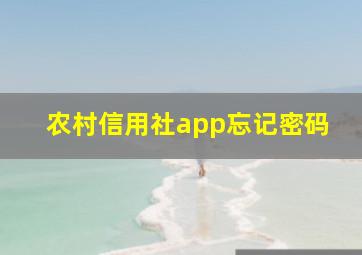 农村信用社app忘记密码