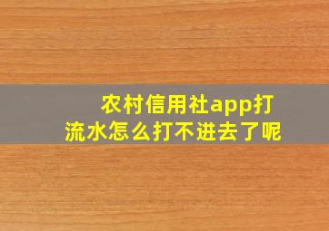 农村信用社app打流水怎么打不进去了呢