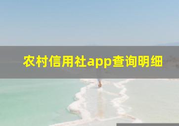 农村信用社app查询明细