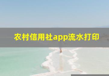 农村信用社app流水打印