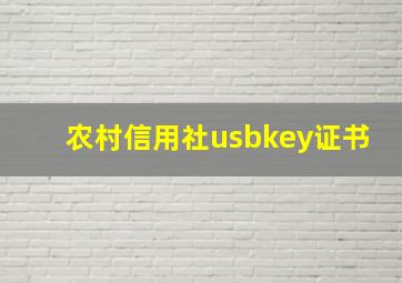 农村信用社usbkey证书