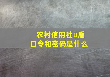 农村信用社u盾口令和密码是什么