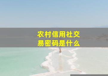 农村信用社交易密码是什么