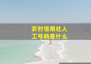 农村信用社人工号码是什么