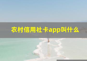 农村信用社卡app叫什么