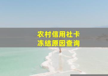 农村信用社卡冻结原因查询