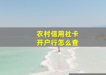 农村信用社卡开户行怎么查