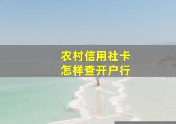 农村信用社卡怎样查开户行