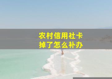 农村信用社卡掉了怎么补办