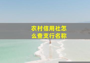 农村信用社怎么查支行名称