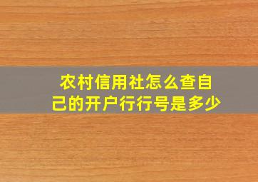 农村信用社怎么查自己的开户行行号是多少