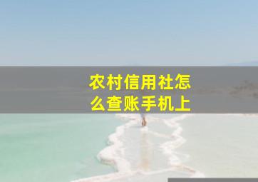 农村信用社怎么查账手机上