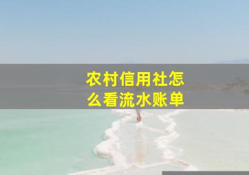 农村信用社怎么看流水账单